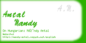 antal mandy business card